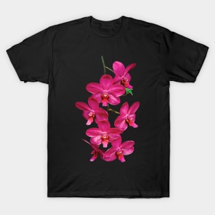 Orchids - Cascade Magenta Orchids T-Shirt